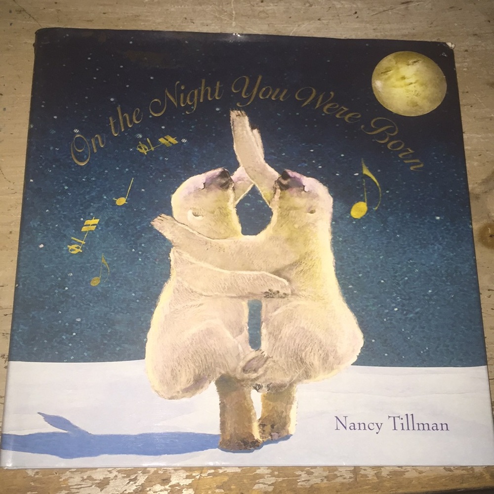 On the Night You Were Born - Blue Children's Picture Book
